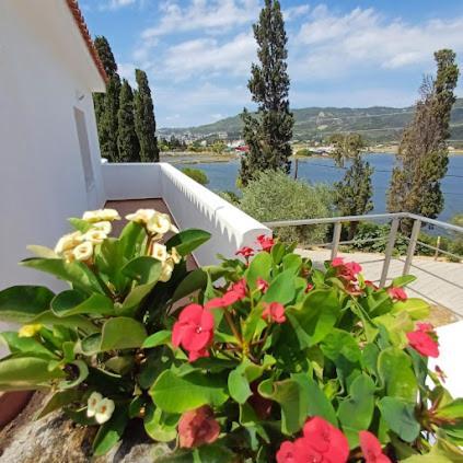 Skiathos Lagoterra Apartments מראה חיצוני תמונה