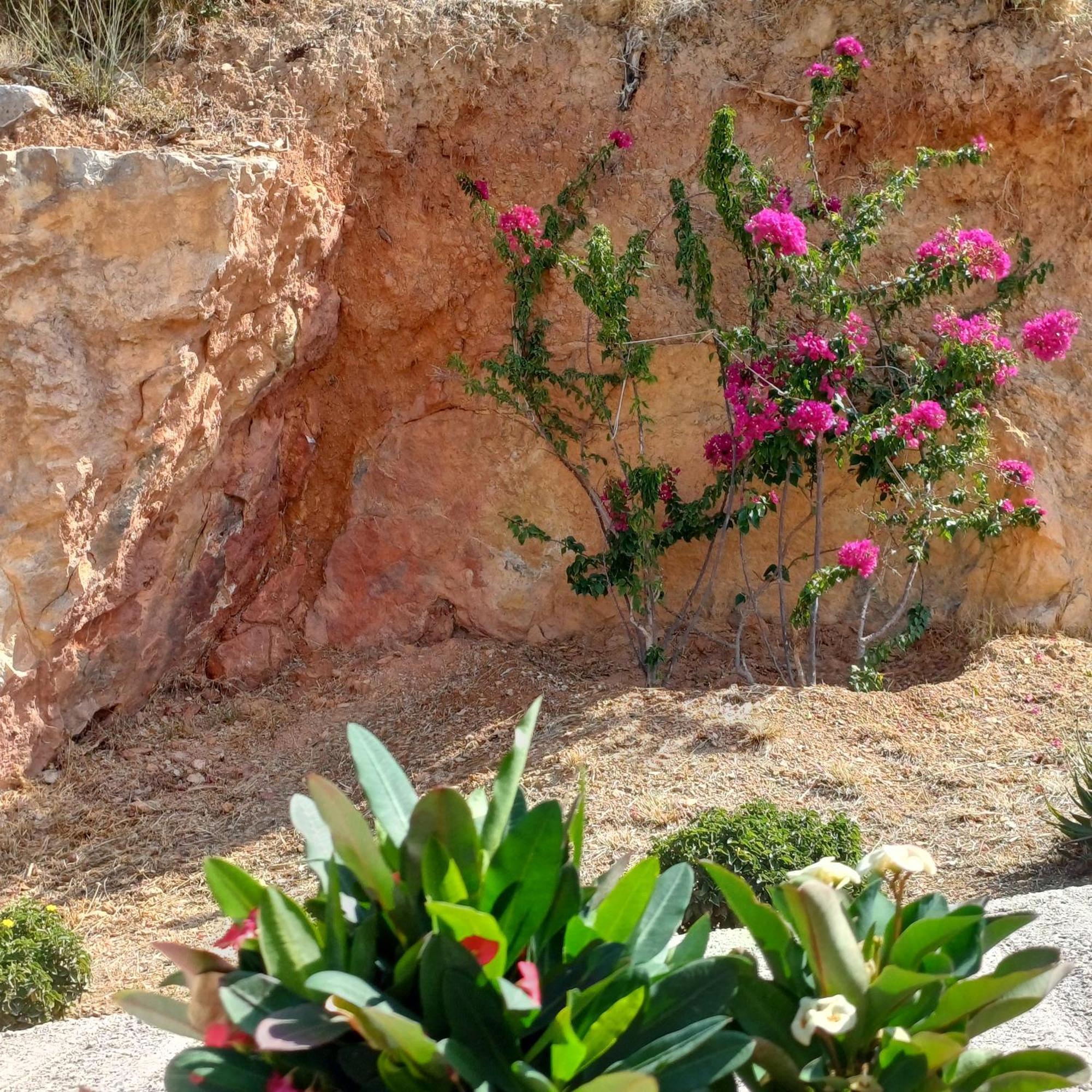Skiathos Lagoterra Apartments מראה חיצוני תמונה